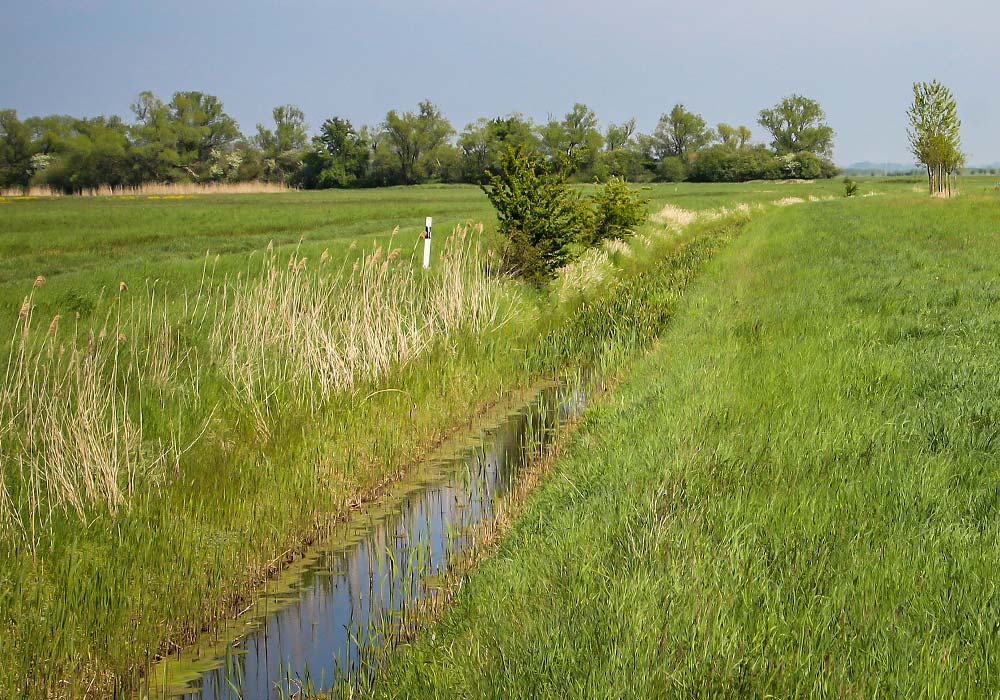 Wetland channel by Geelong excavation company