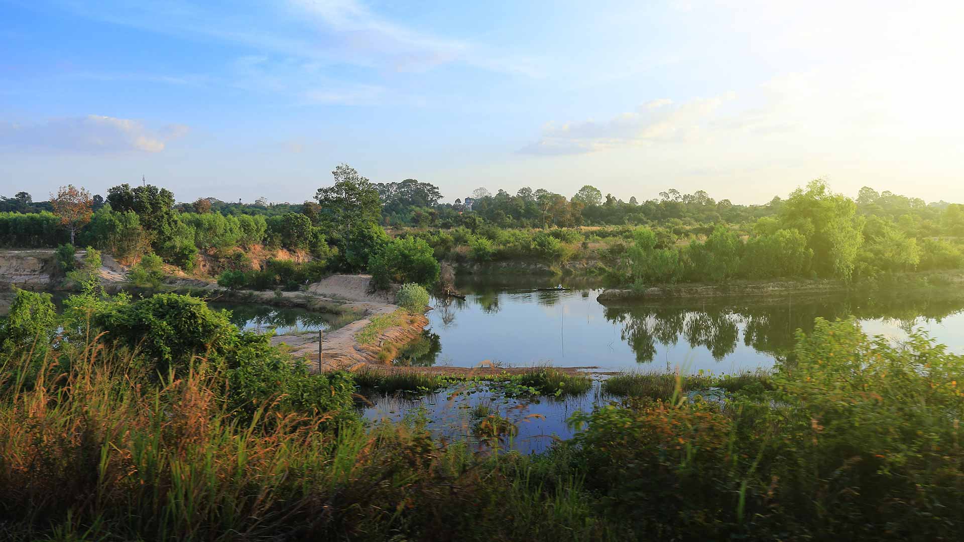 Wetlands